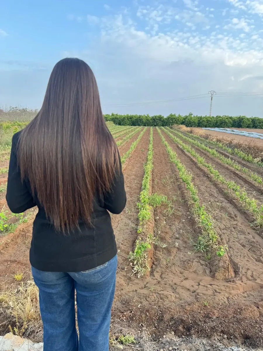 Profesional agrícola observando un cultivo en campo