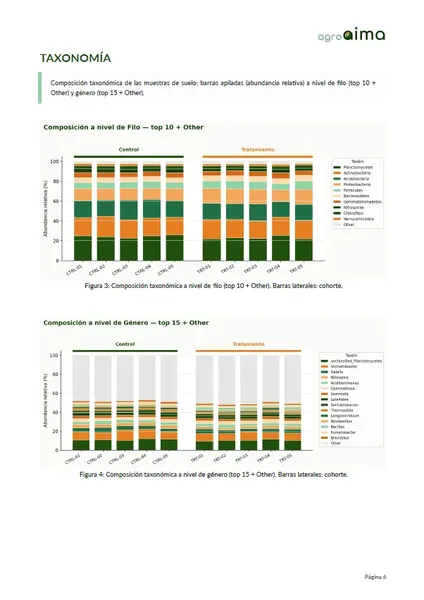 Página interior del informe con gráficos y resultados